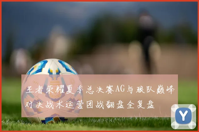 王者荣耀夏季总决赛AG与狼队巅峰对决战术运营团战翻盘全复盘