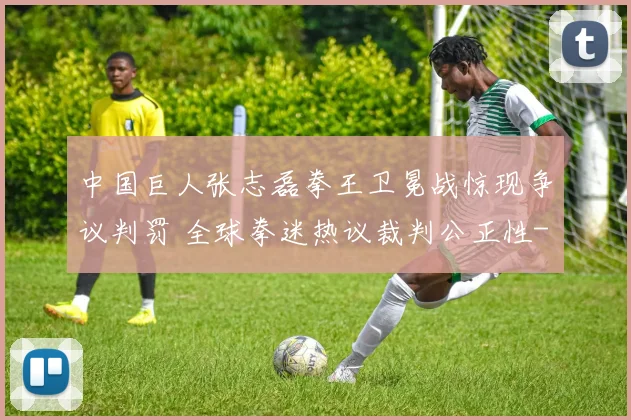中国巨人张志磊拳王卫冕战惊现争议判罚 全球拳迷热议裁判公正性