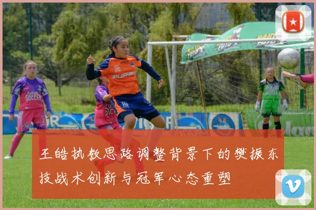 王皓执教思路调整背景下的樊振东技战术创新与冠军心态重塑