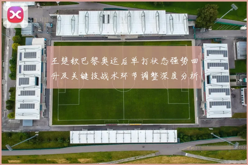 王楚钦巴黎奥运后单打状态强势回升及关键技战术环节调整深度分析