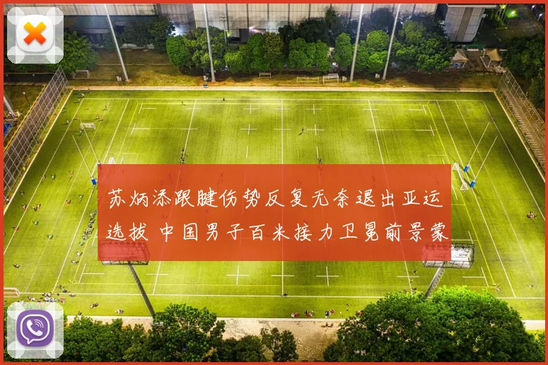 苏炳添跟腱伤势反复无奈退出亚运选拔 中国男子百米接力卫冕前景蒙阴影